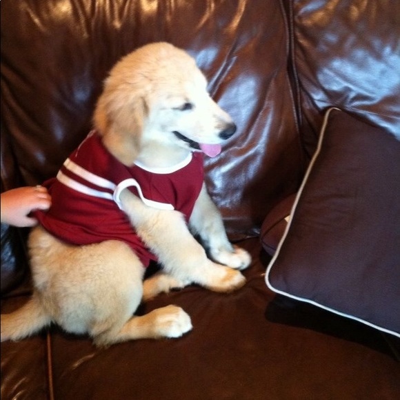 Meet your Posher, Stacy - Picture 1 of 1